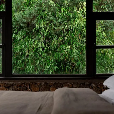 Adonis Inn Lijiang Lijiang  Exterior photo