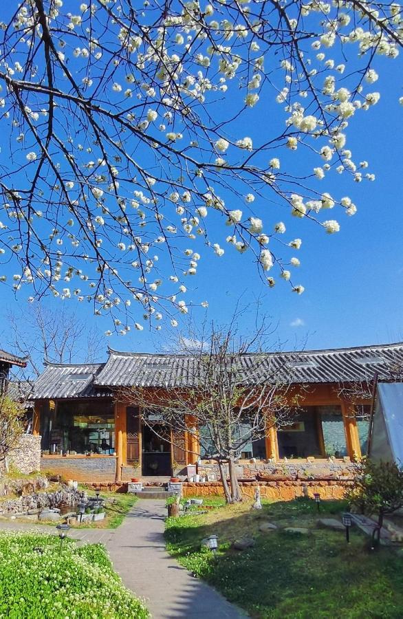 Adonis Lijiang