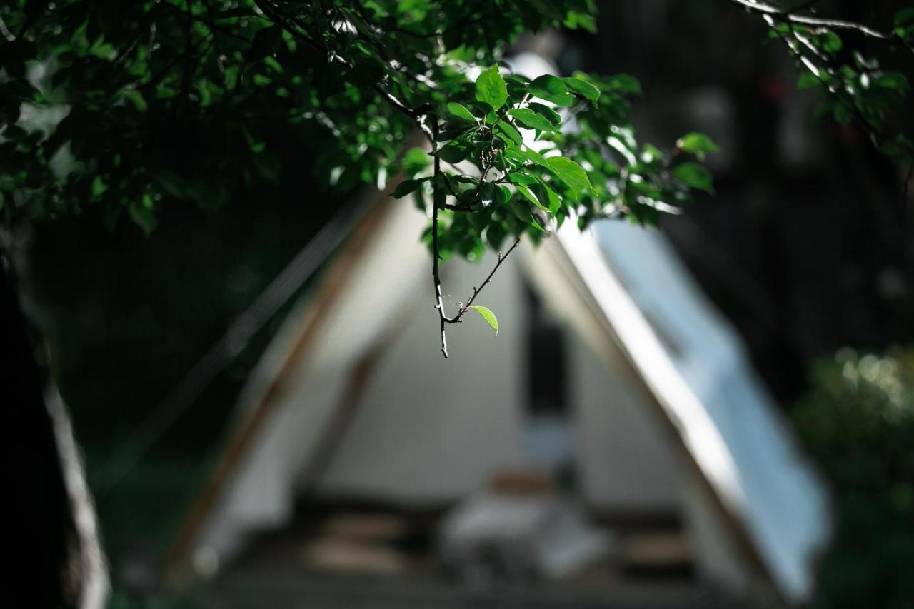Homestay Adonis Lijiang