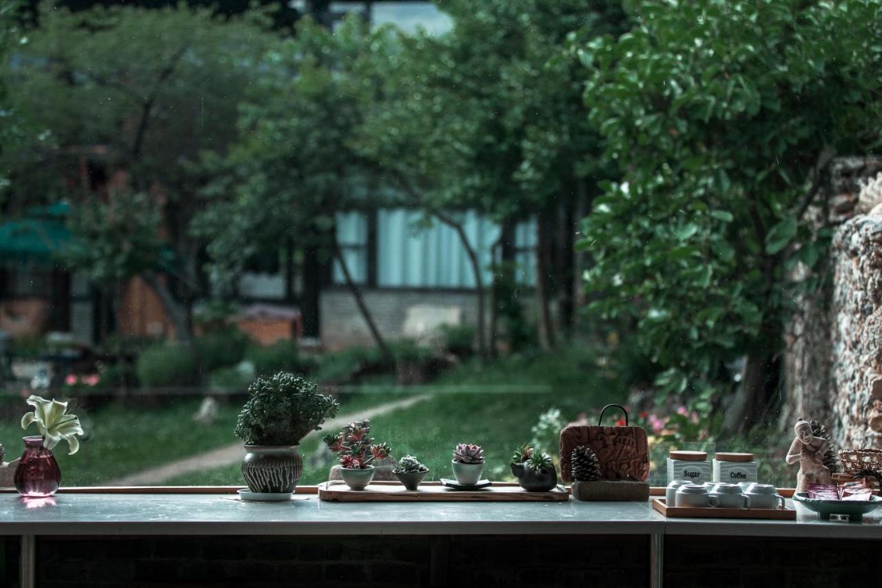 Adonis Lijiang Homestay