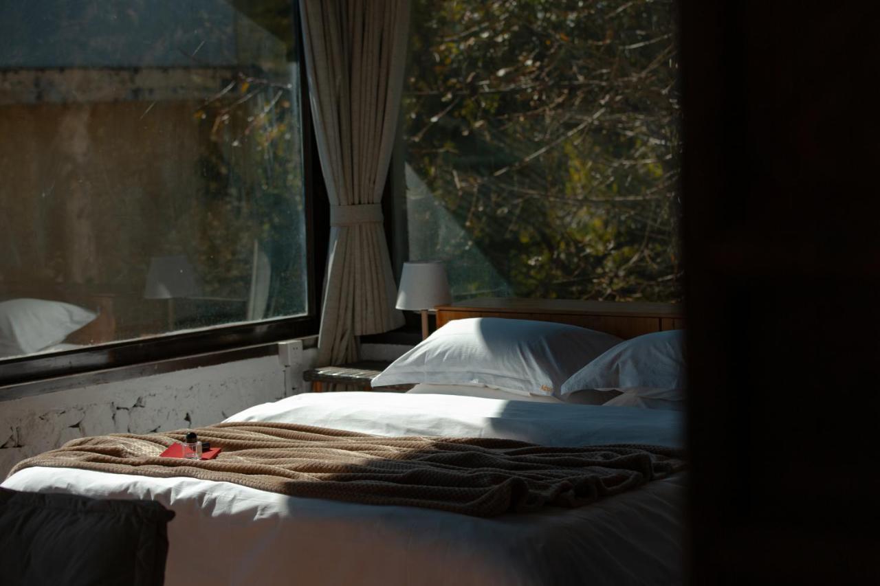 Adonis Lijiang Homestay